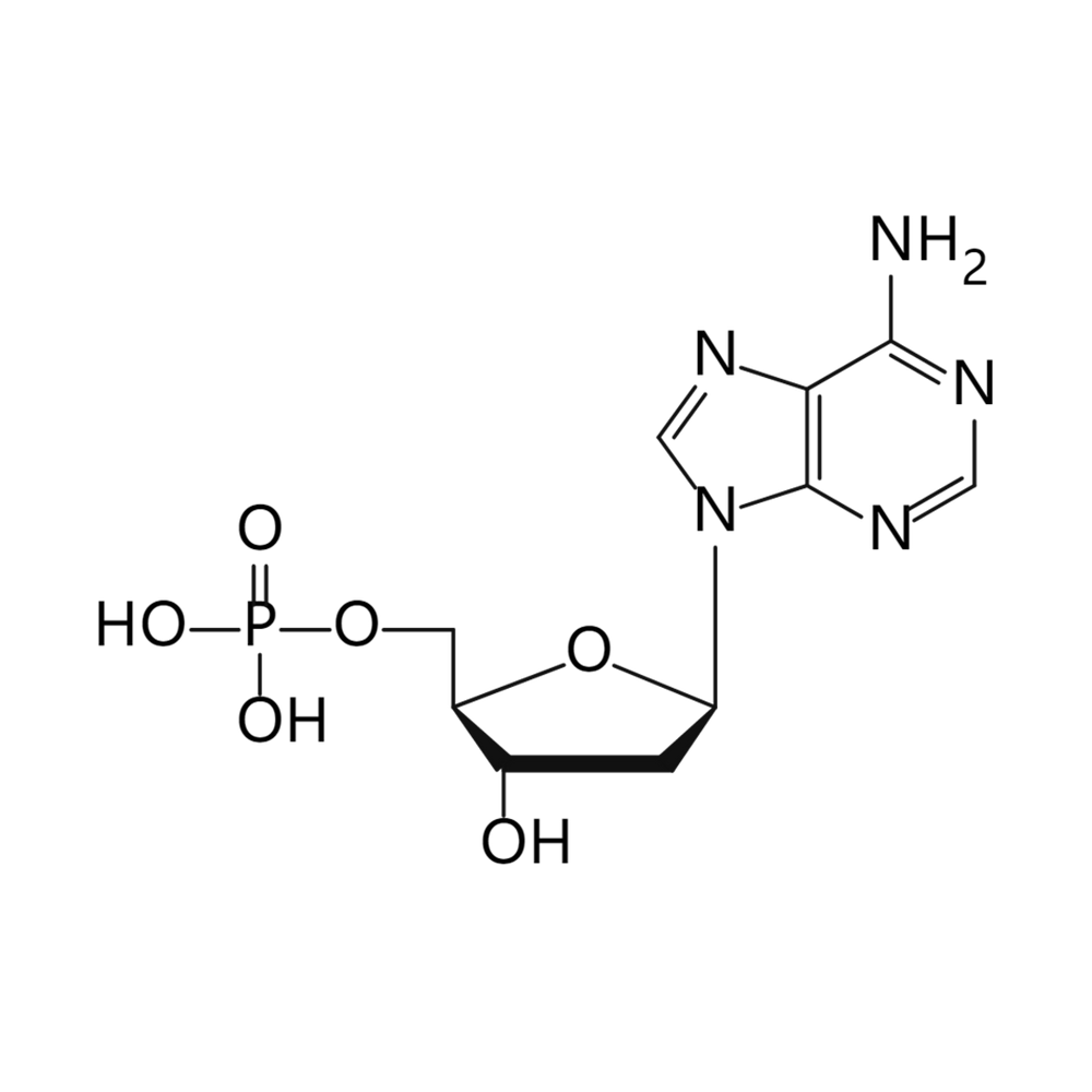 2‘-脫氧腺苷酸